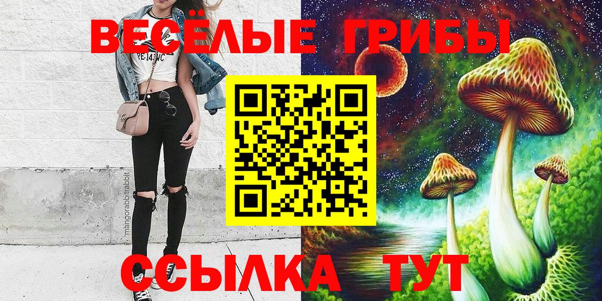 Рузаевка  Галлюциногенные грибы мицелий  Вход с VPN 
